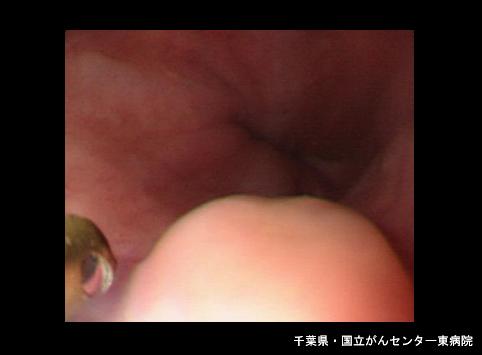 画像ID:6706