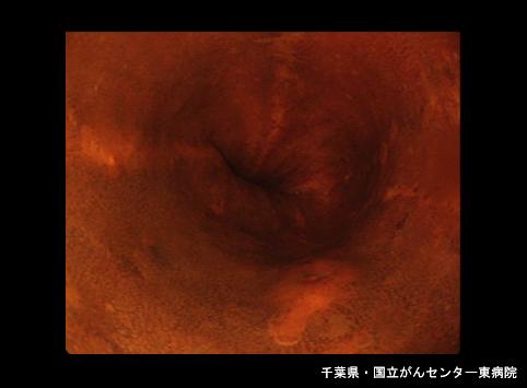 画像ID:6707