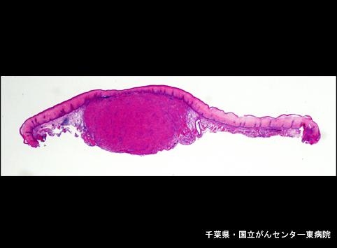 画像ID:6710