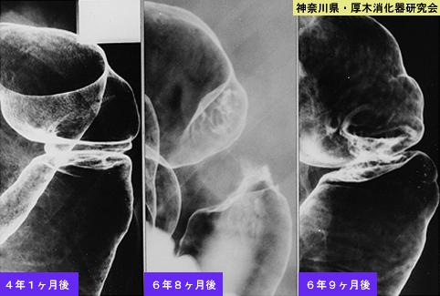画像ID:6730