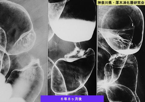 画像ID:6731