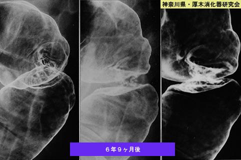 画像ID:6732