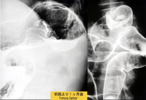 画像ID:6776