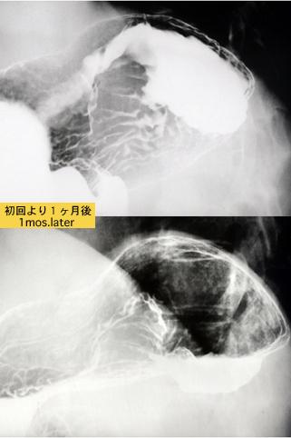 画像ID:6779
