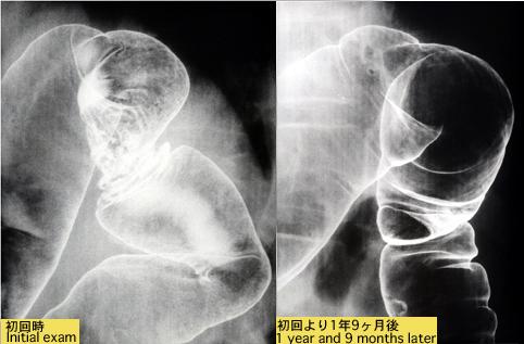 画像ID:6782
