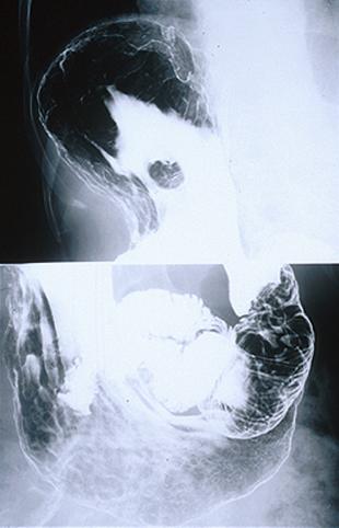 画像ID:6818