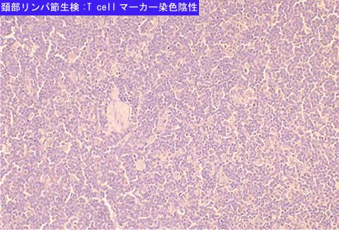 画像ID:6845