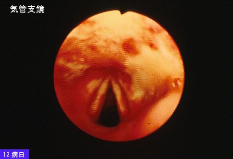 画像ID:6968