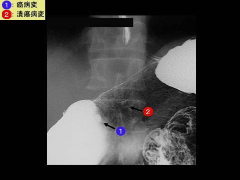 画像ID:7040