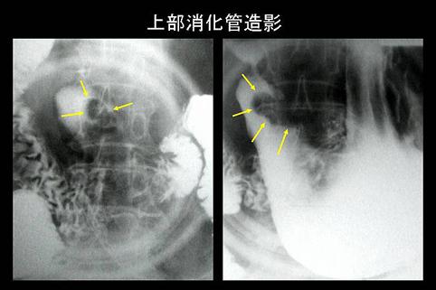 画像ID:7105