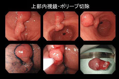画像ID:7110