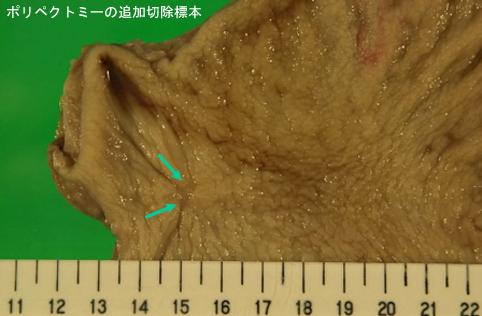 画像ID:7114