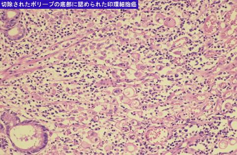 画像ID:7117