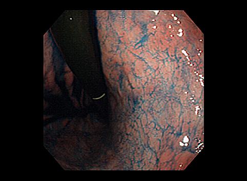 画像ID:7261
