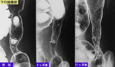 画像ID:7333