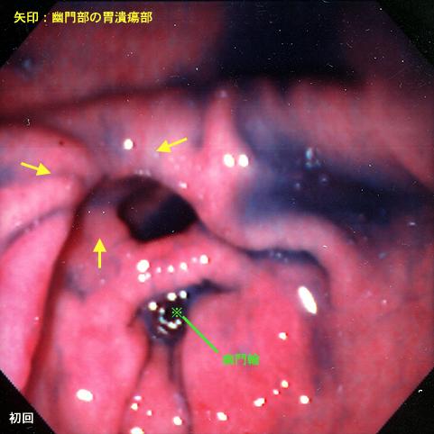 画像ID:7435