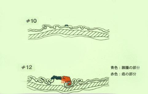 画像ID:6169
