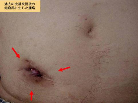 画像ID:7881