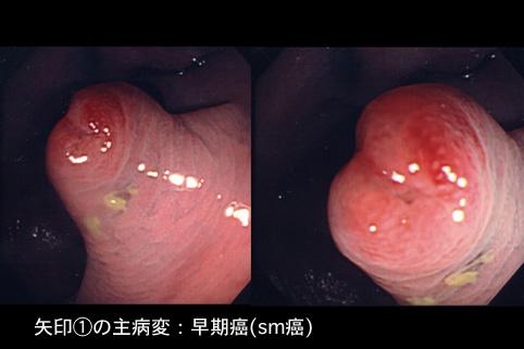 画像ID:7886