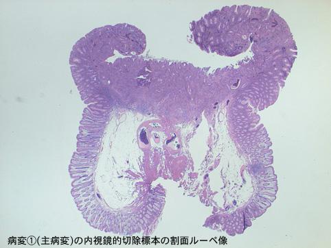 画像ID:7889