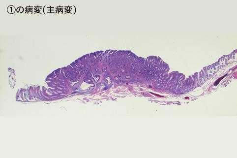 画像ID:7906