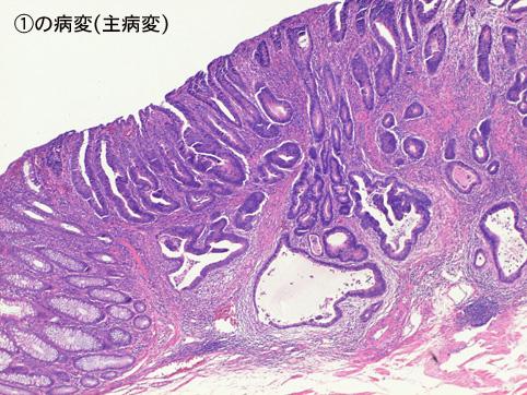 画像ID:7907