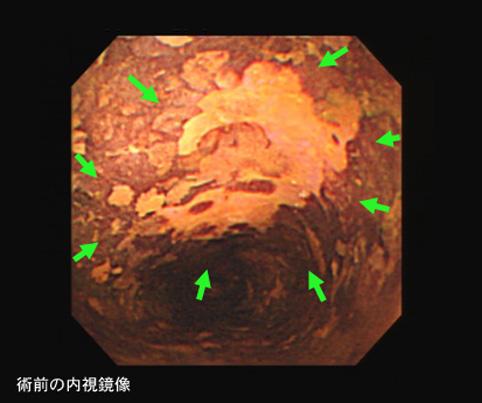 画像ID:7946
