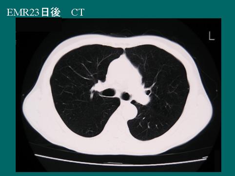 画像ID:7954