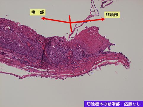 画像ID:7963