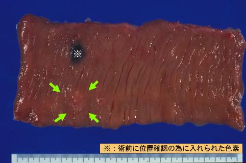 画像ID:8028