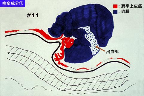 画像ID:7525