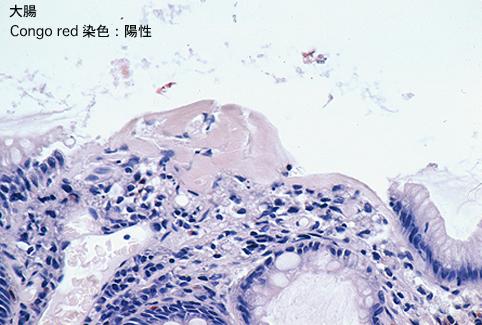 画像ID:8181