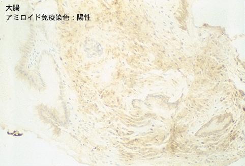 画像ID:8183