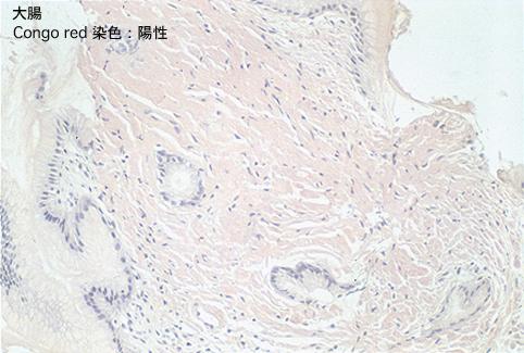 画像ID:8184