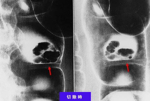 画像ID:8312