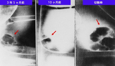 画像ID:8315