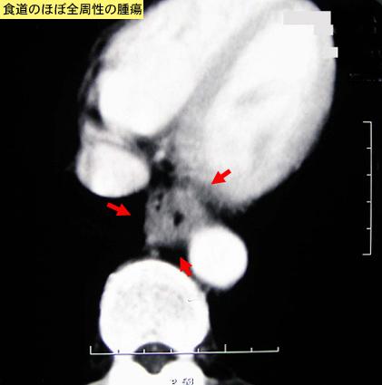 画像ID:8340