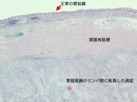 画像ID:8355