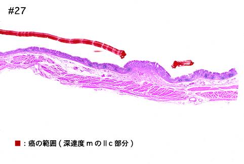 画像ID:8516