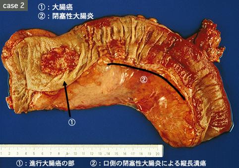 画像ID:8591