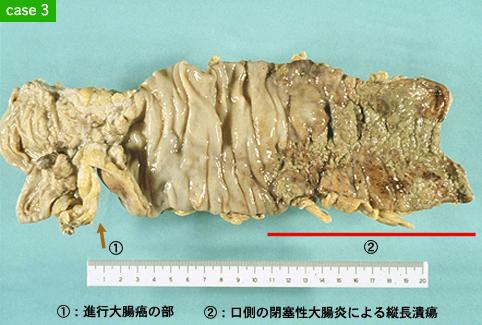 画像ID:8597