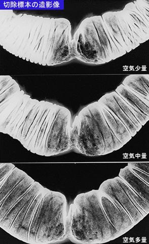 画像ID:8605