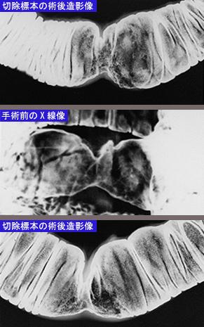 画像ID:8606