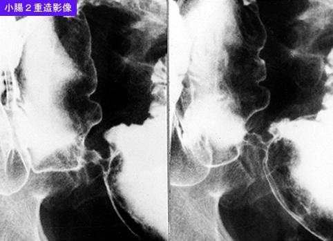 画像ID:8652