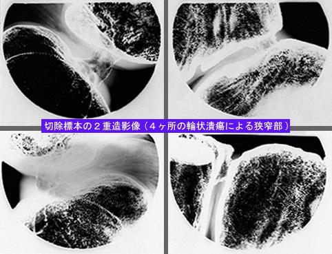 画像ID:8655