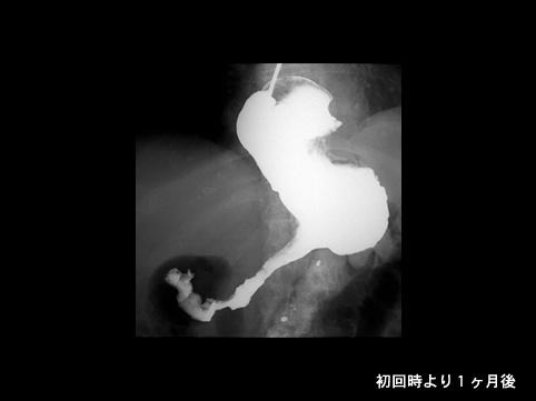 画像ID:8798