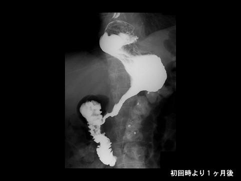 画像ID:8799
