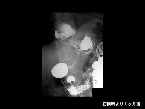 画像ID:8800