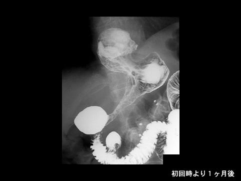 画像ID:8801