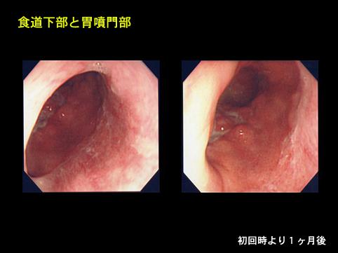 画像ID:8805